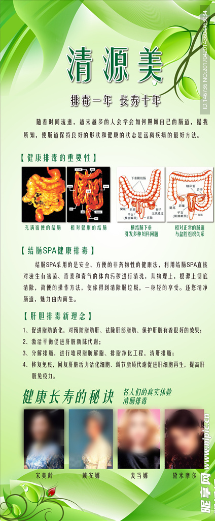 清源美结肠排毒展架画面