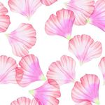 花瓣