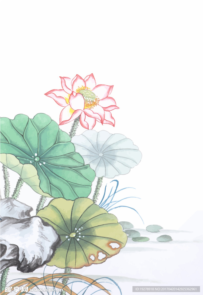 水墨 工笔画 荷花