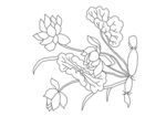 刺绣图案 荷花莲藕图样线描稿
