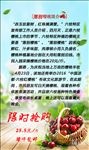 贵州樱桃