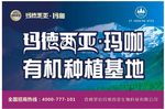 玛卡海报