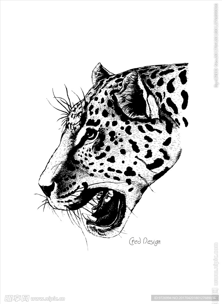 手绘写实豹子头图案矢量