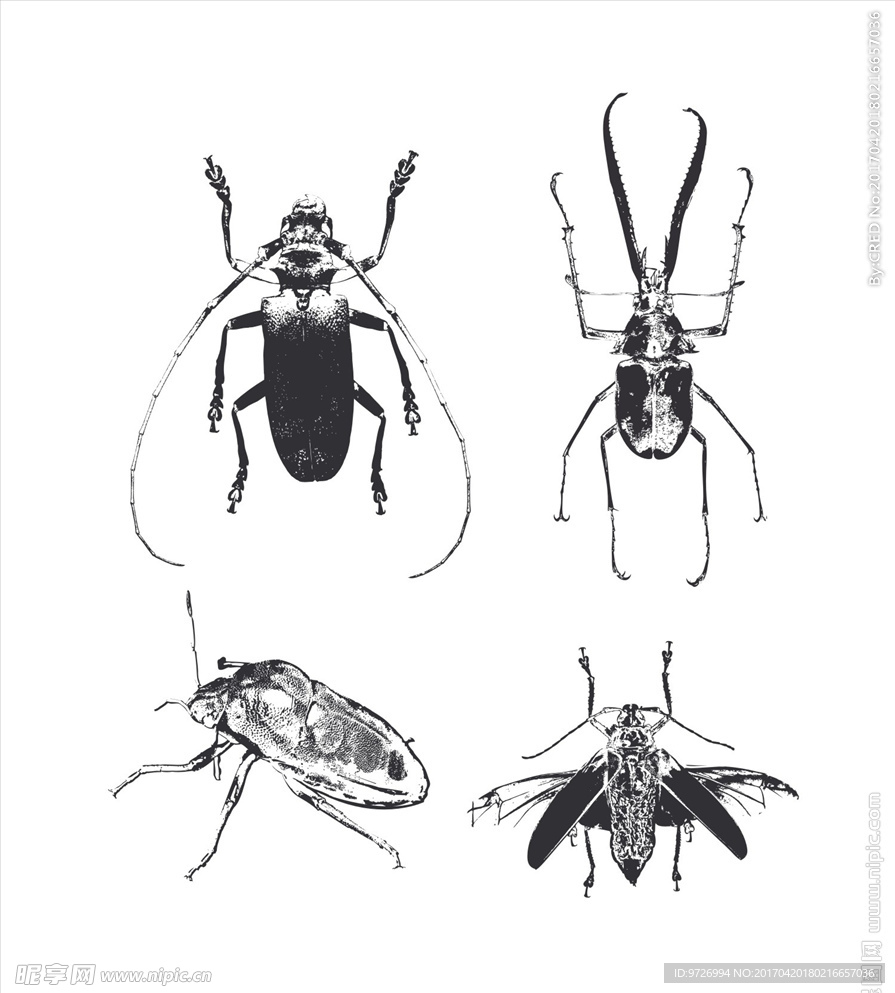 写实昆虫图案