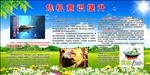 危机意识