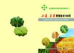小麦玉米封皮