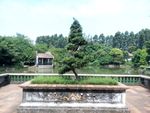 中国园林