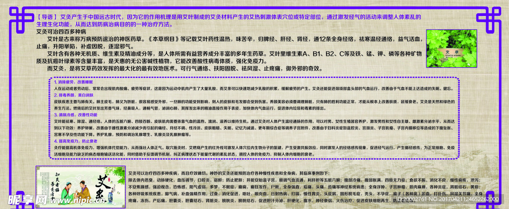 艾灸的好处  艾叶好处