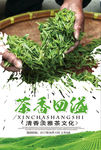 绿茶