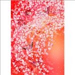 日本风格色彩