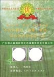 溪黄草宣传单