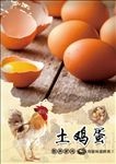 鸡蛋海报