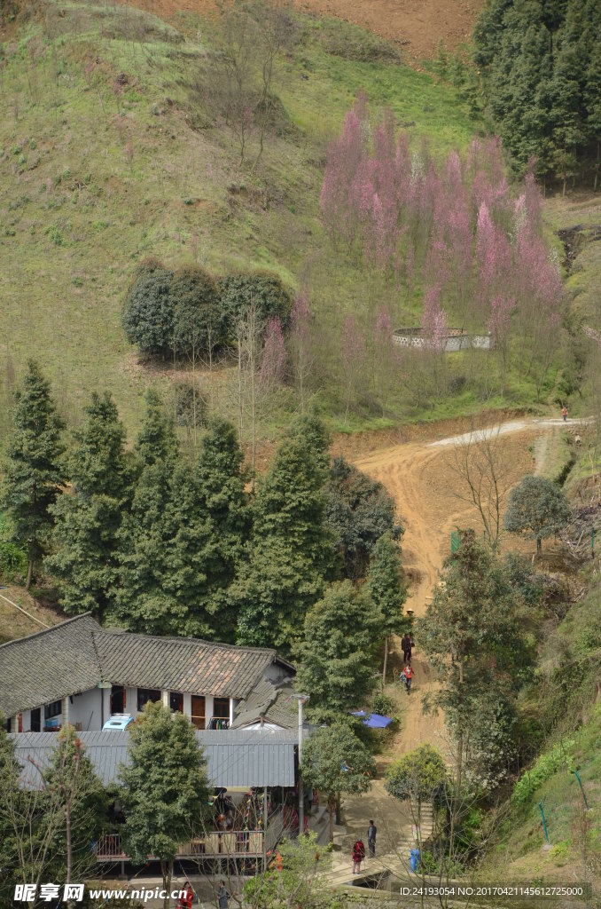 桃花山人家