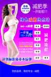 绿色减肥终点站