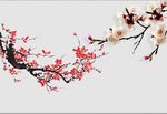 梅花