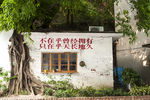 紫泥糖厂