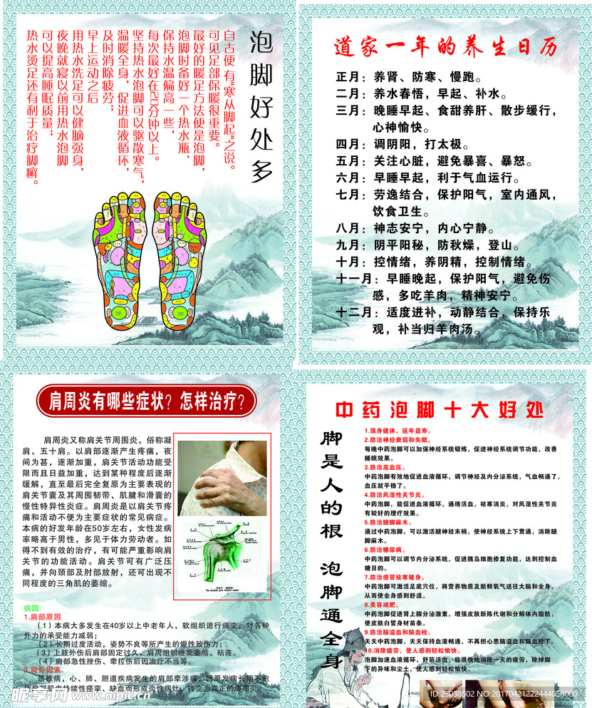 穴位图