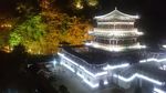 柳州文庙夜景