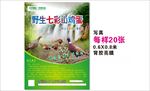 山鸡蛋海报
