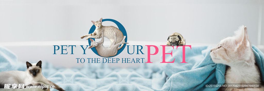 购物banner