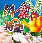 鲜禽特卖