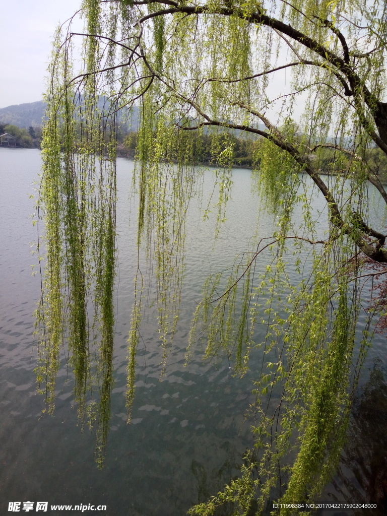 西湖风景