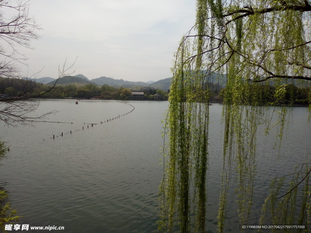 西湖风景