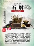 中药石斛故事