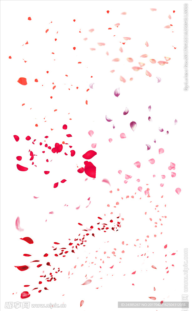 花瓣