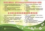 母乳喂养 妇幼保健
