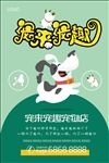 宠物