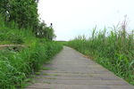 公园小路
