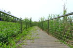 公园小路