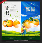 蜜桔