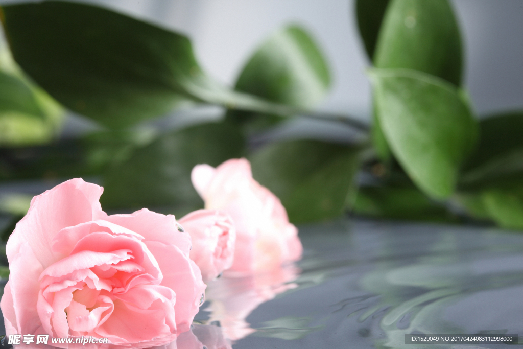 花背景