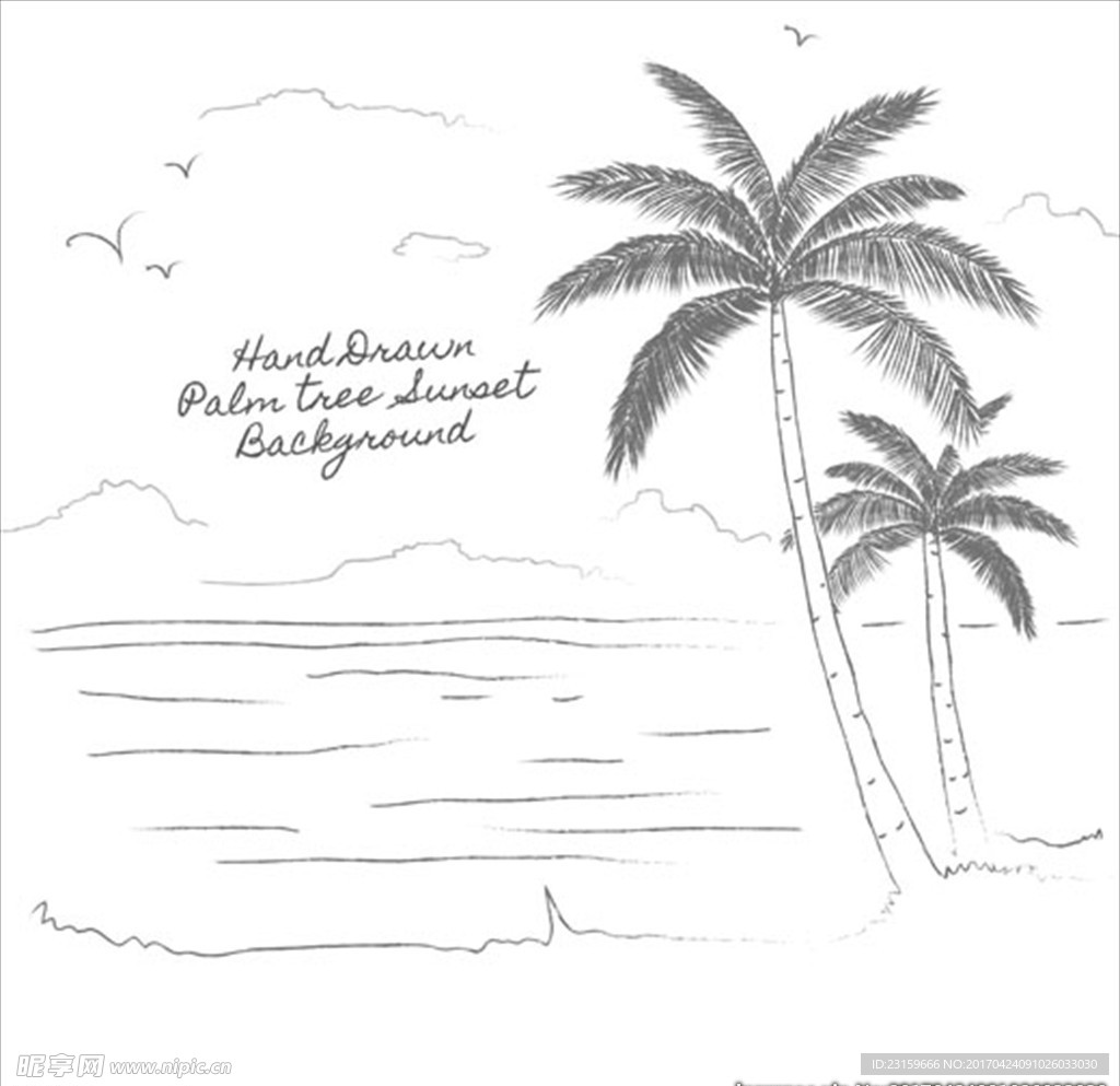 手绘素描棕榈树背景