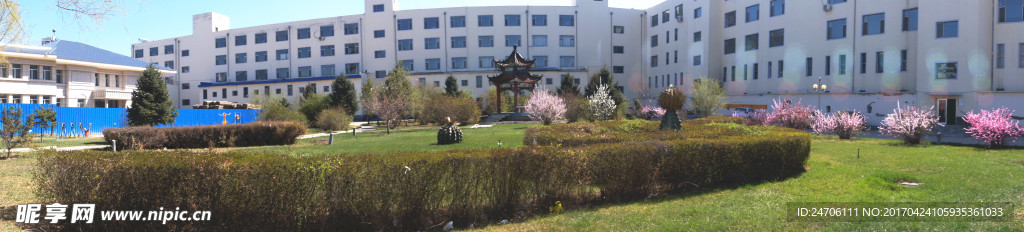 花开