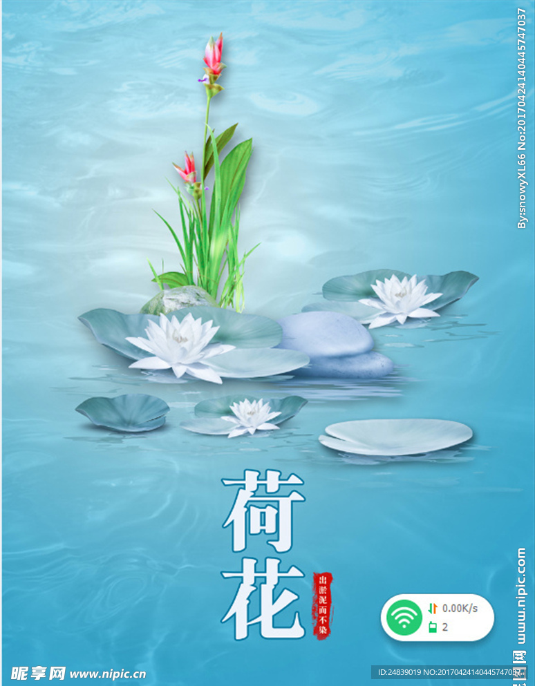 荷花PSD