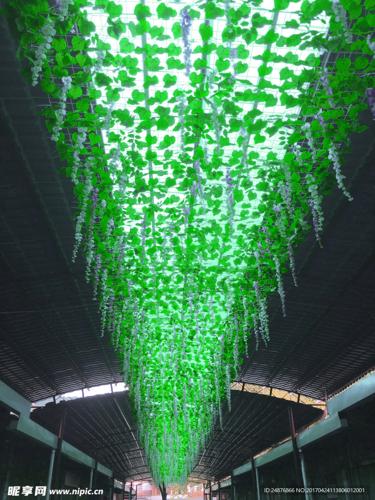 绿色天空
