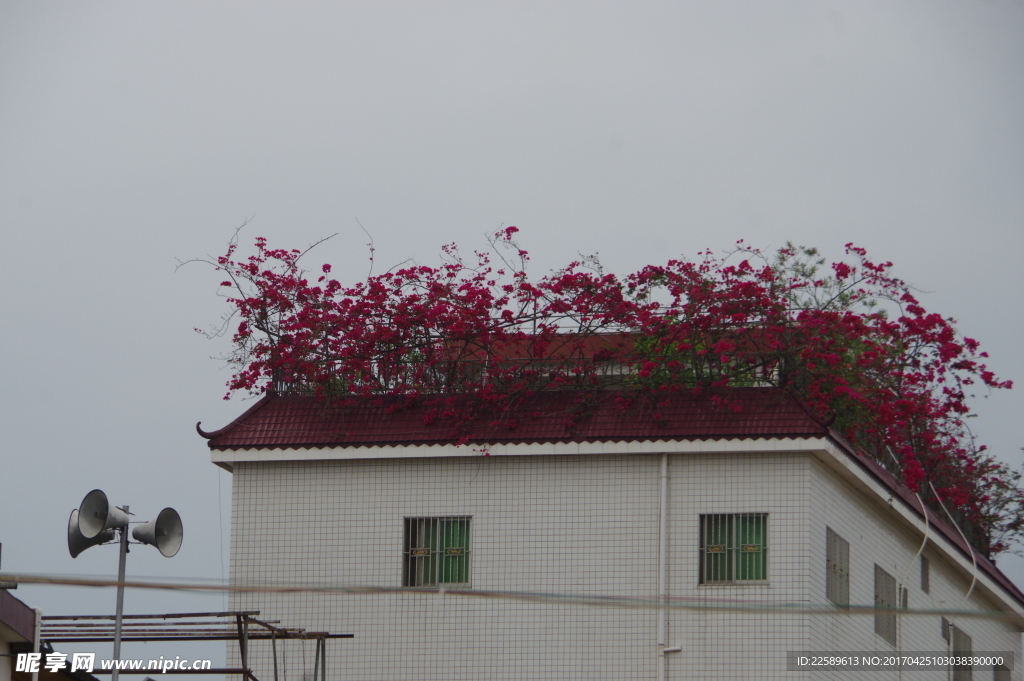 屋顶花园