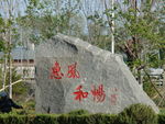 大学生校园文化