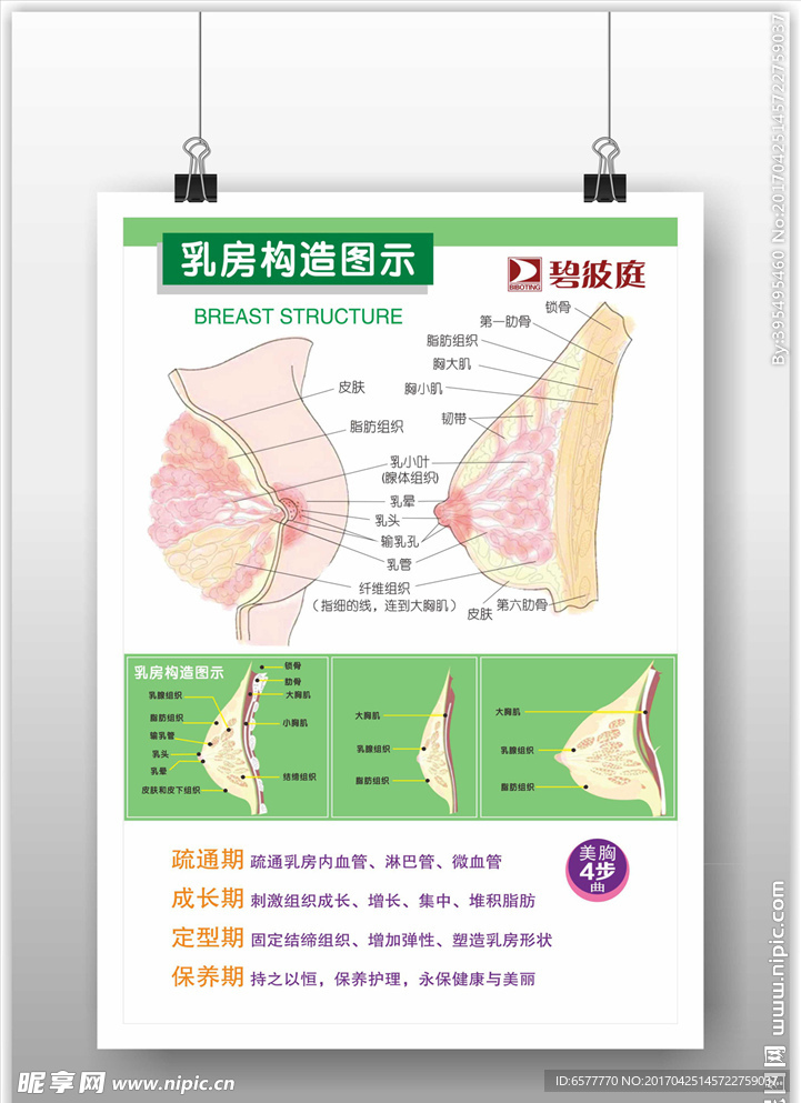 美容海报