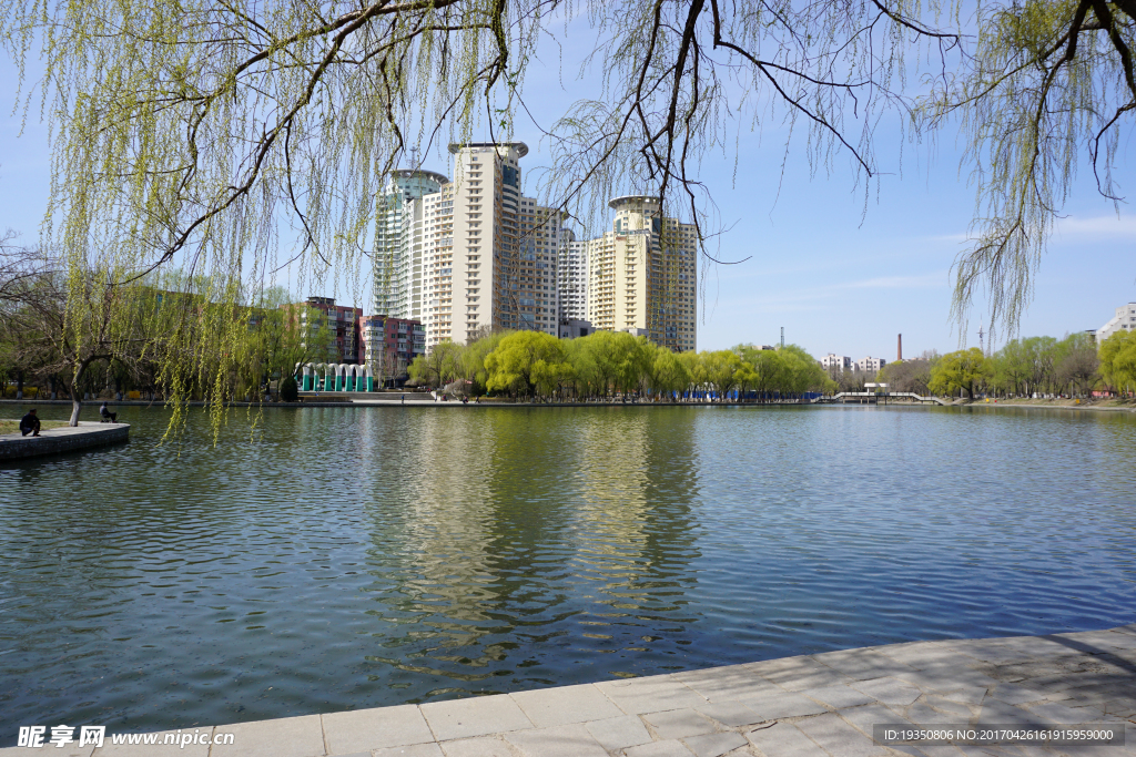 春天 公园 湖