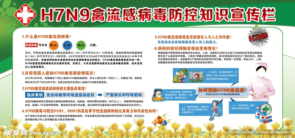 H7N9健康教育宣传栏设计