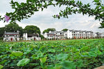 瑞金市洁源新村