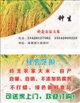 钟生名片
