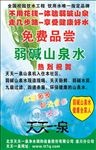 天天一泉