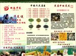 华莱健广告