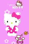 hello  Kitty可爱猫