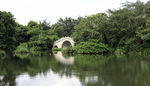 深圳中心公园